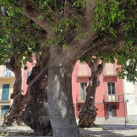 Alla Marina Da Pina 特拉帕尼 外观 照片