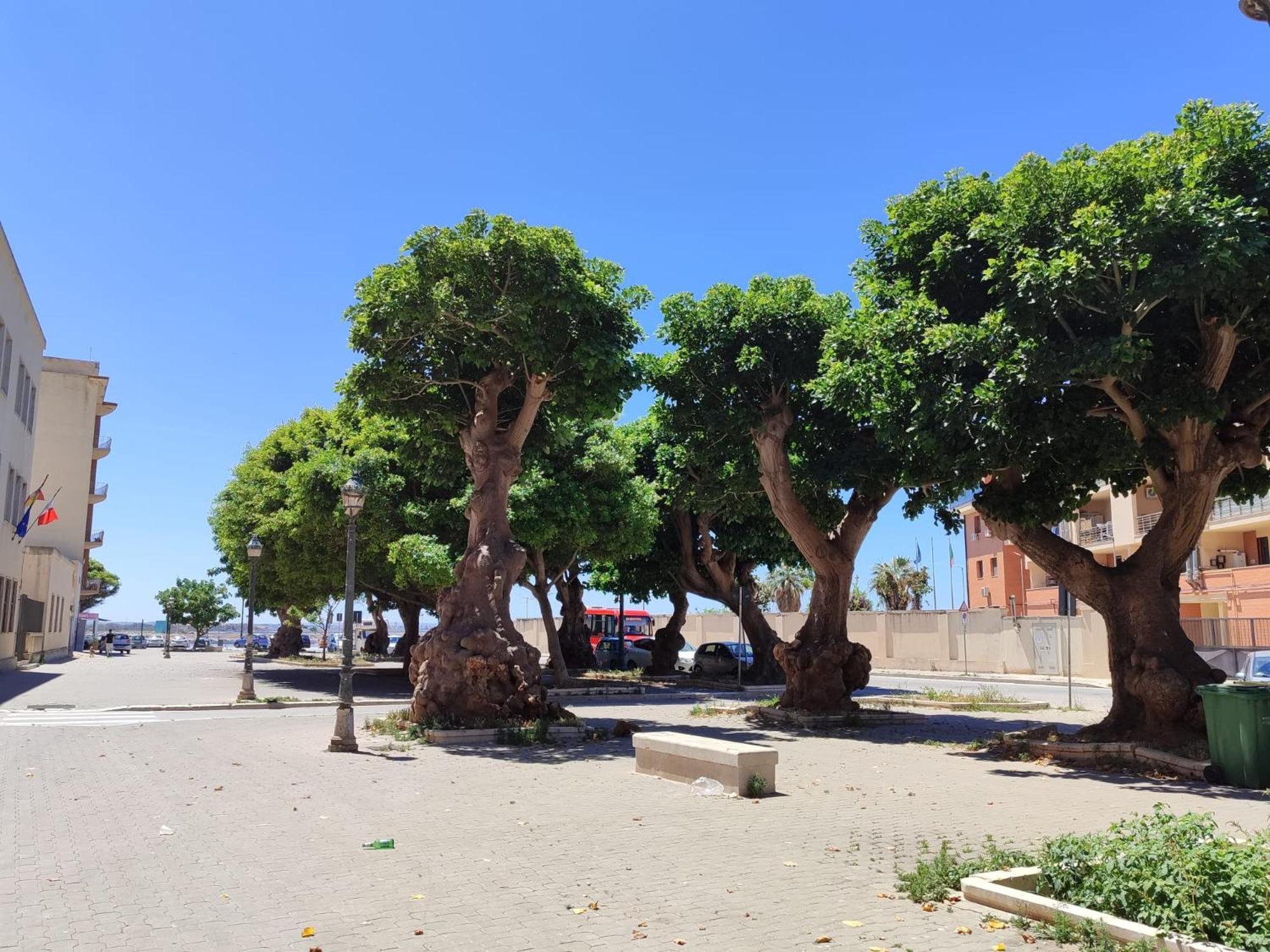 Alla Marina Da Pina 特拉帕尼 外观 照片