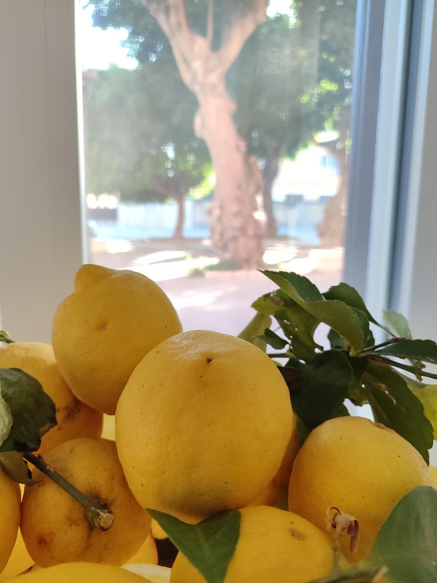 Alla Marina Da Pina 特拉帕尼 外观 照片
