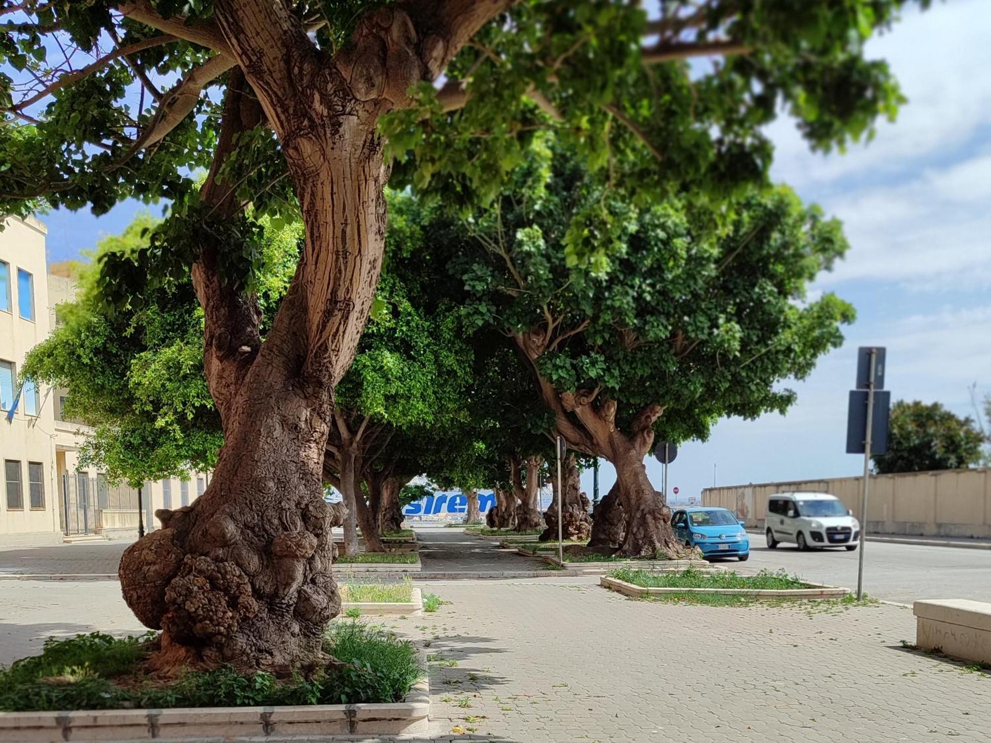 Alla Marina Da Pina 特拉帕尼 外观 照片